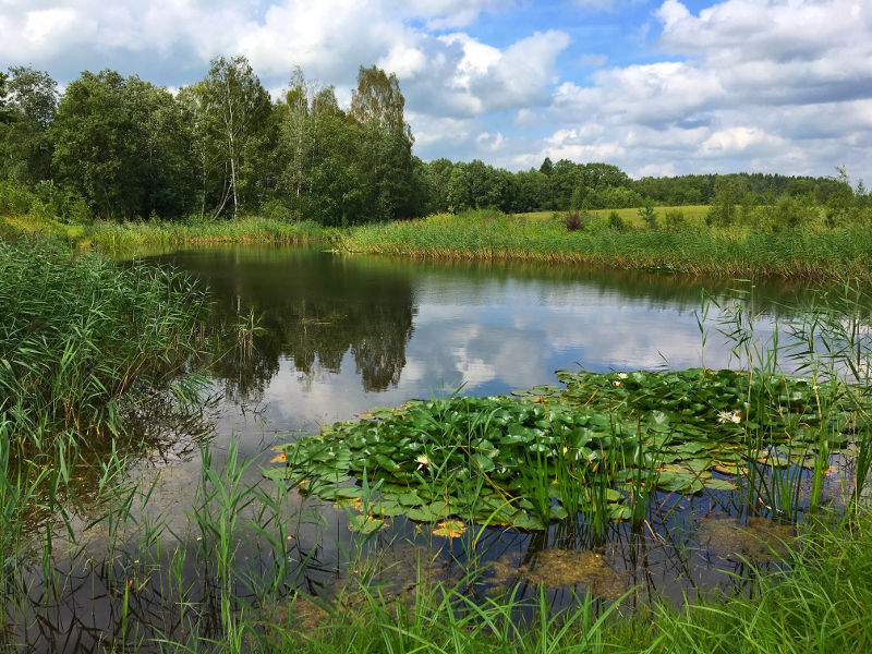 Lithuanian countryside